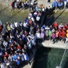 1492247196_jadranje_poetovio_cup_skupinska.jpg
