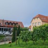 1700488266_sd-proti_zadolzevanju.jpg