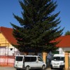 1658413853_cg_breg_koruzjak.jpg