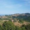 1502260188_ar_travnik.jpeg