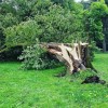 1690266285_foto_neurje.jpg