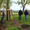 1571910194_cg_drevesa_ptuj_je_nas.jpg
