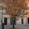 1479748396_cg_mestno_jedro_1.jpg