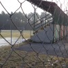 1548501670_vb-tribuna_brunsvik.jpg