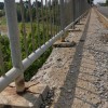 1600099414_kg_starse_most_zlatoličje_pločnik.jpg