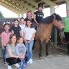 1624889010_mz_zudv_konji.jpg