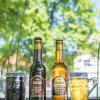 1627369220_kukec_v_zda_3.jpg