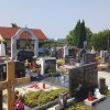 1646323174_sd-izvajalec_za_britof.jpg
