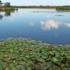 1492689755_cg_sestrze_jezero_2.jpg