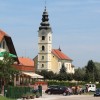 1618833048_mz_leskovec.jpg