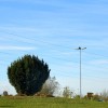 1699532498_dz_neurejena_krozisca.jpg