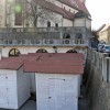 1517242867_cg_trznica_1.jpg