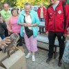 1632216334_2021_09_09,lisca,izpust_lesna_sova,postovka,ljubo_motore_(27).jpg