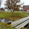 1636384716_cg_brv_studencnica.jpg
