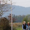 1615471187_solarne.jpg