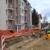 1581341944_cg_gregorcicev_drevored.jpg