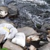 1628513734_sd-kadavri_v_pesnici01.jpeg