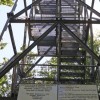 1729535464_img_1100.jpg