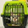 1665061639_cg_veterinarska_akcija.jpg