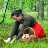 1690200018_mz-gobe1-_za_vpis_naslova.jpeg