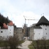 1617613271_zicka_kartuzija_622.jpg