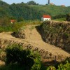 1711706564_cg_vinogradnistvo_1.jpg