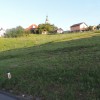 1532443623_ml-plaz_polensak.jpg