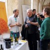 1524053297_cg_salon_sauvignon.jpg