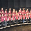 1554212957_dz-revija1.jpg