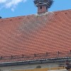 1621867693_dzh-storklje_in_lastovke.jpg