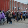1483981370_mih-azilanti.jpg