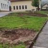 1685014973_mh-drevesa.jpg