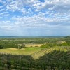 1616074708_kg-zavrč.jpg