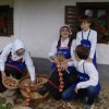 1616074484_sd-mladi_kmetje.jpg