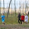 1507621485_cg_naslovnica_79.jpg