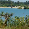 1693223989_cg_green_lake.jpg