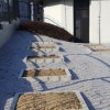 1579772231_sd-zarni_zidovi.jpg