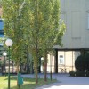 1505163476_mz_psihiatrija.jpg