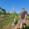 1628778131_sd-uničeni_vinogradi03.jpg