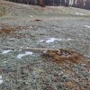 1675332295_zelenice_2.jpg