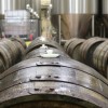 1699533015_mv-vinogradi2.jpeg