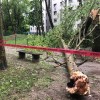 1652466793_vojnik_1.jpg