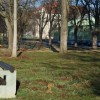 1584438631_dz-park_ptuj.jpg