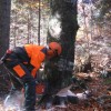 1520677421_op_gozdarski_tecaj_podlehnik.jpg