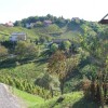 1622730401_mz_cirkulane_ceste.jpg