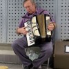 1501576745_cg_harmonikar_1.jpg