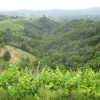 1532702596_em_interesna_zveza_haloze.jpg