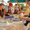 1629999642_sd-rizling&gibanica.jpg