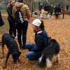 1621865962_cg_pasji_park_1.jpg