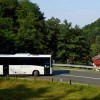 1637243516_cg_avtobusi_haloze_1.jpg